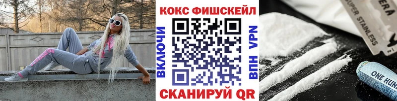Cocaine FishScale  Купить закладки  Бологое 