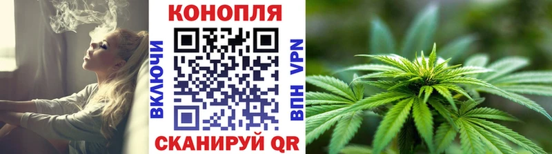 Каннабис конопля  Купить где  Бологое 